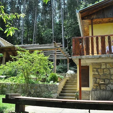 Apartament Borove Noci