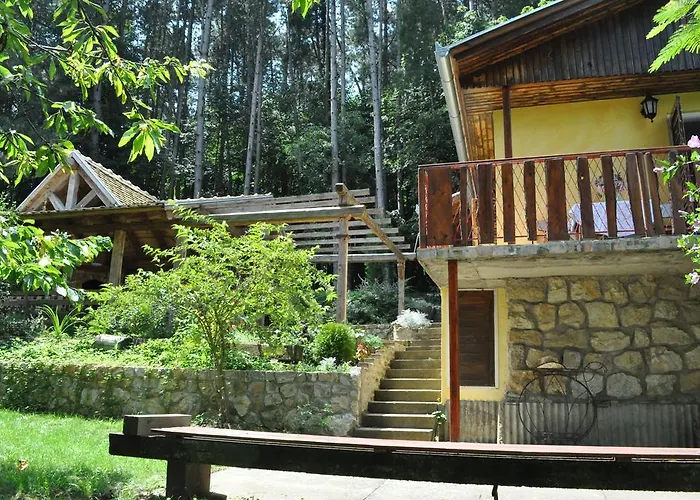 Apartman Borove Noci