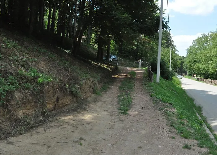 Apartman Borove Noci